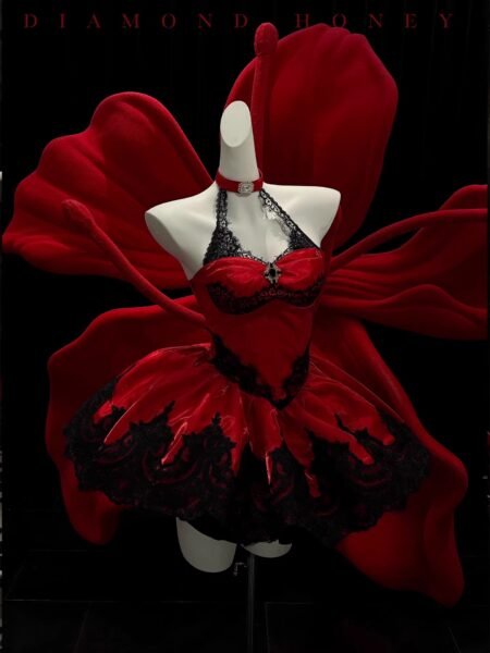 【 lace cat red 】 ballet style fashionable coming of age dress