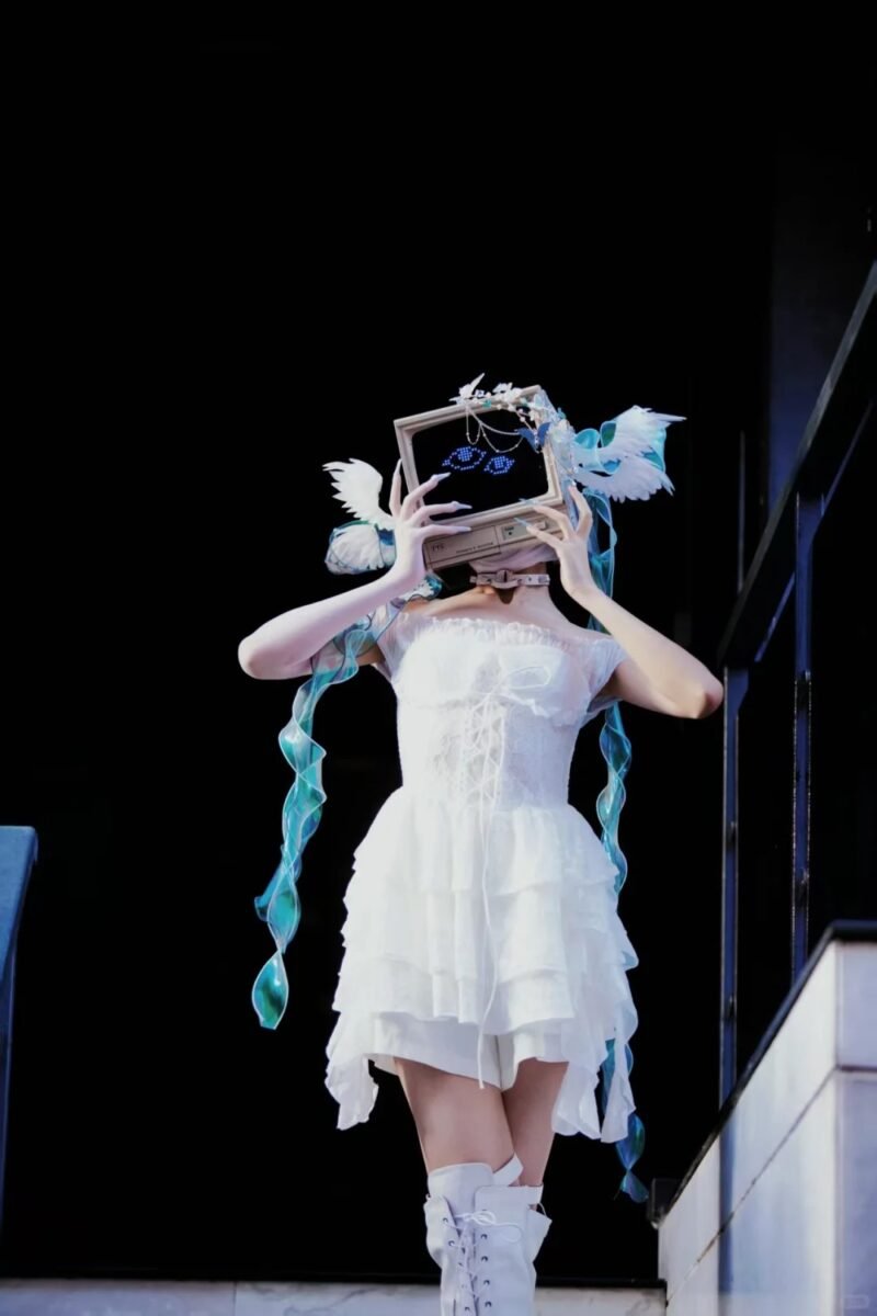 【computer sleeping cat】