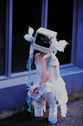 【computer sleeping cat】