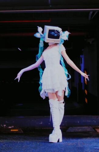 【computer sleeping cat】