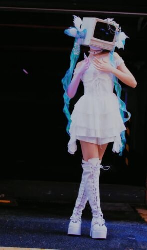 【computer sleeping cat】